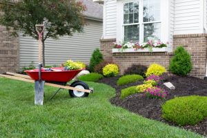 wheel barrow landscaping